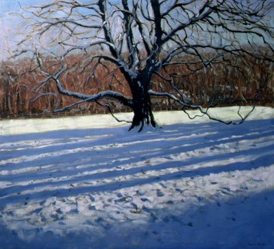 Grande albero, neve, Calke Abbey da Andrew Macara